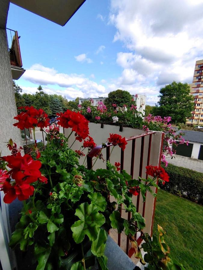 Apartament Loft House Sopot Apartament Zewnętrze zdjęcie